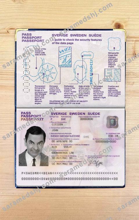 Sweden passport photo look